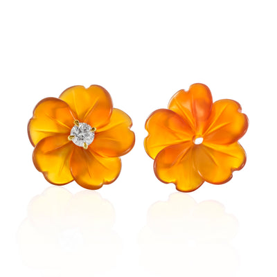 Precious flowers * Carnelian 5 petals - 14 mm